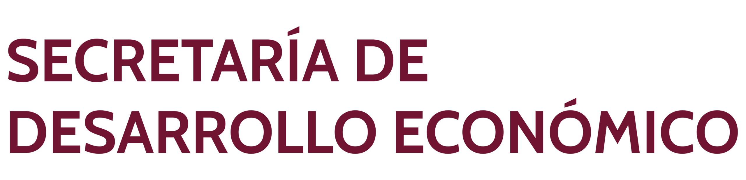 Secretaria del desarrollo economico_Mesa de trabajo 1