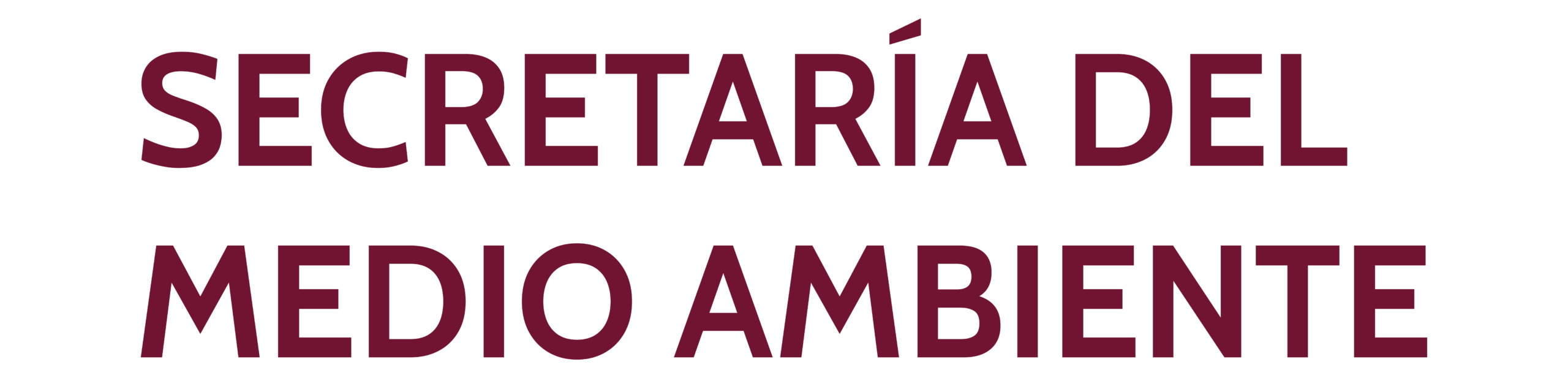 secretaria del medio ambiente_Mesa de trabajo 1